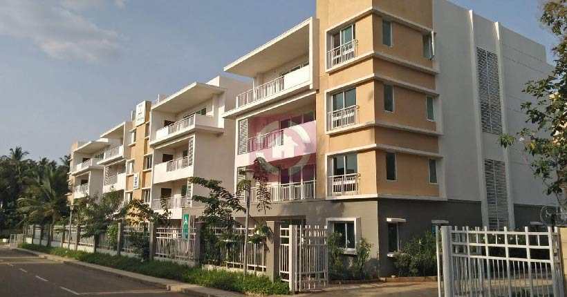 Brigade Palmgrove Pearl Villa-cover-06